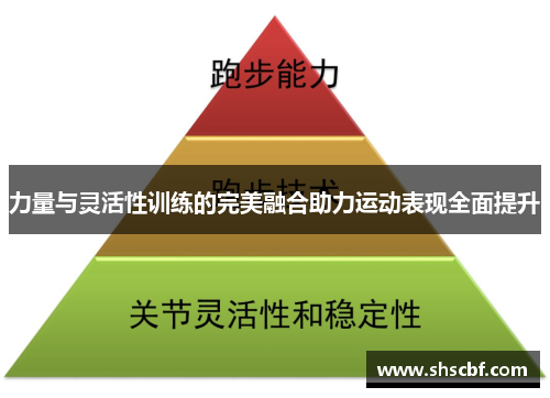力量与灵活性训练的完美融合助力运动表现全面提升