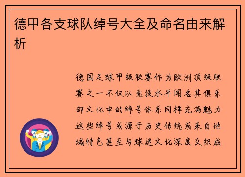 德甲各支球队绰号大全及命名由来解析